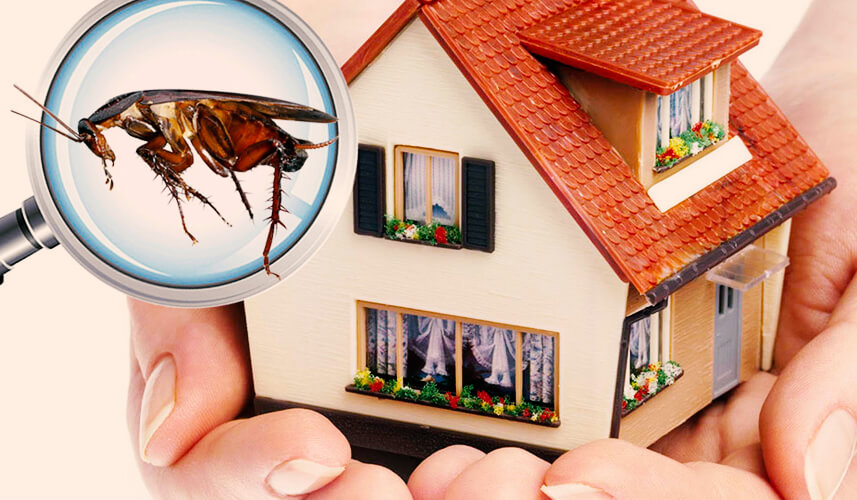 United Pest Management team